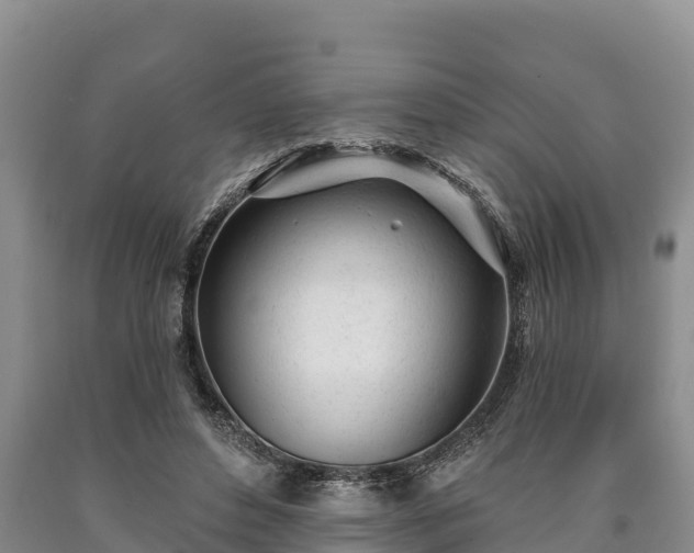 X0000090710496200707271134