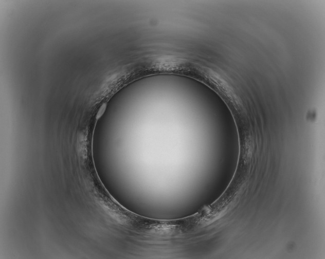 X0000090710497200707271134