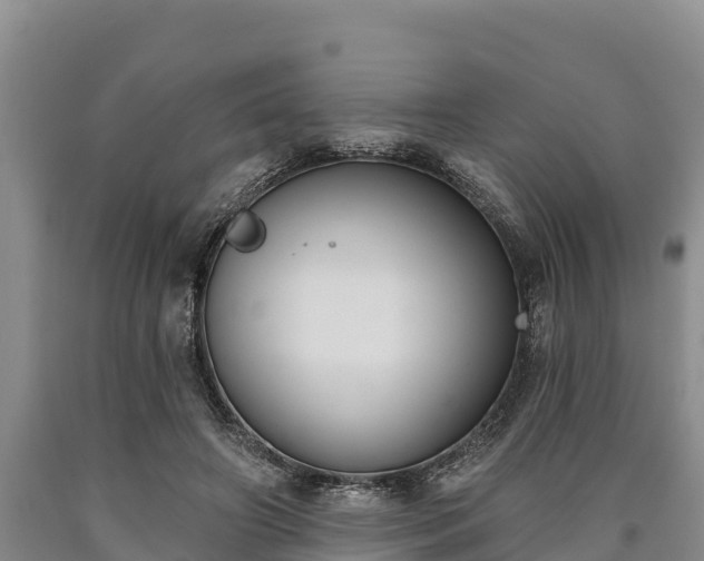 X0000090710498200707271134