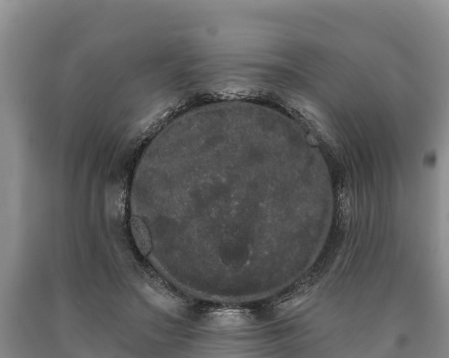 X0000090710499200707271134