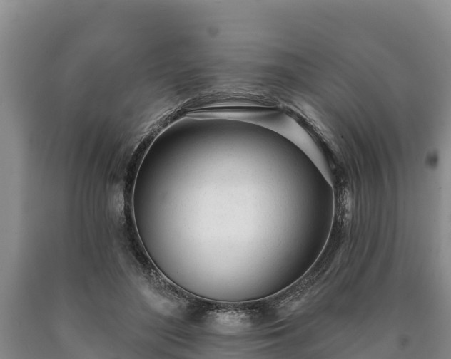 X0000090710500200707271134