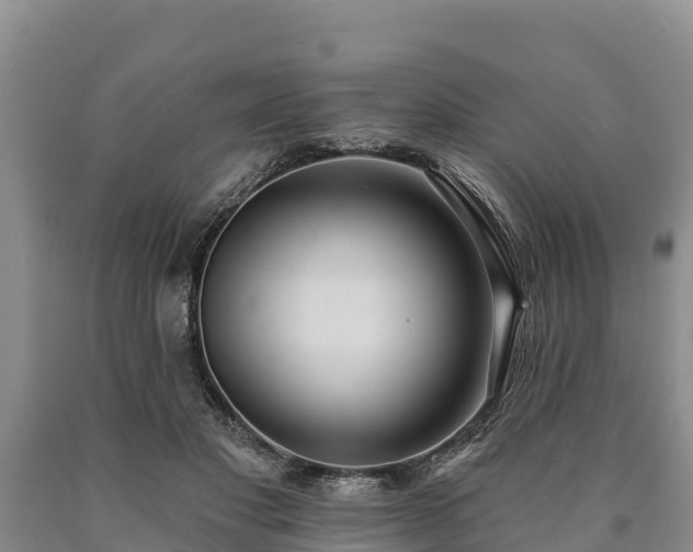 X0000090710501200707271134