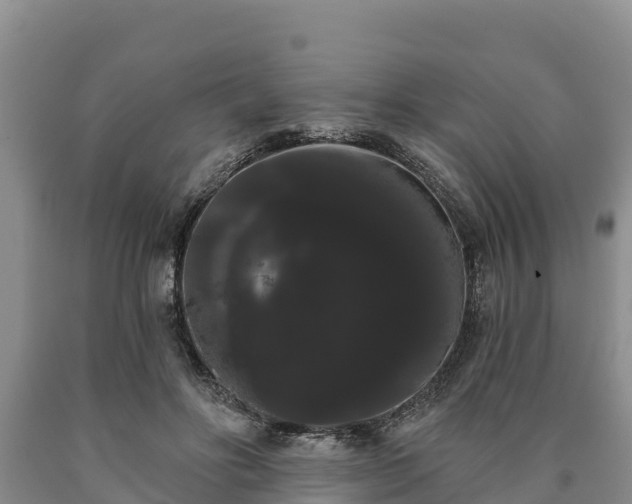 X0000090710502200707271134