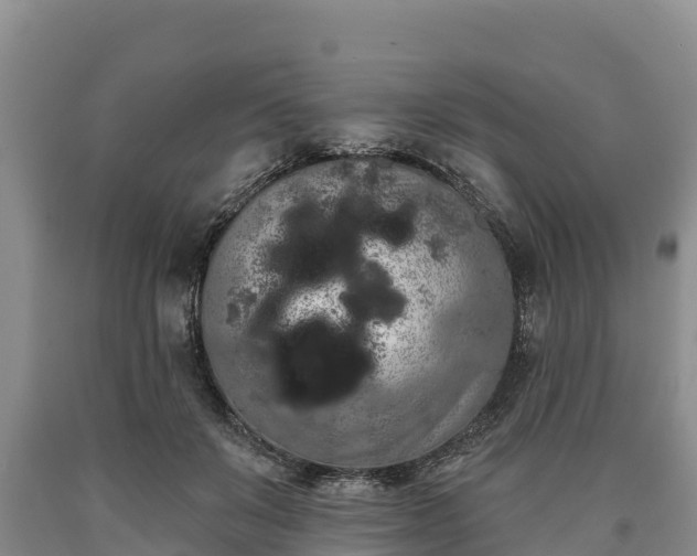 X0000090710503200707271134