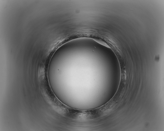 X0000090710504200707271134