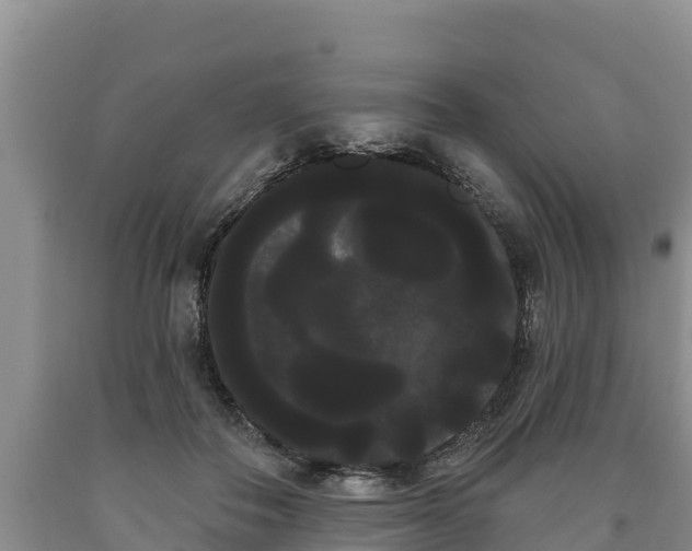 X0000090710506200707271134