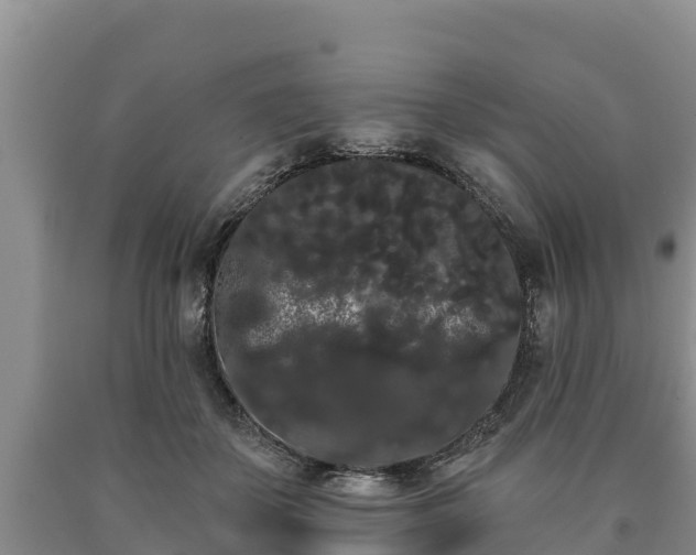 X0000090710507200707271134