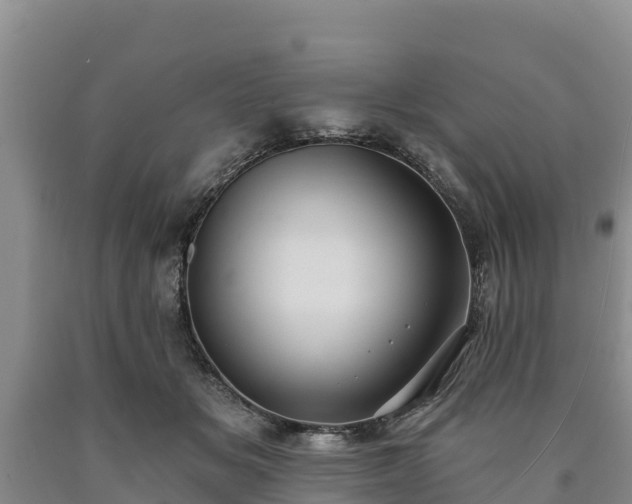 X0000090710509200707271134