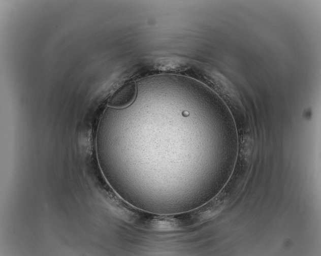 X0000090710510200707271134