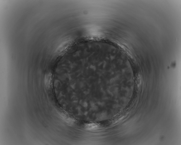 X0000090710511200707271134