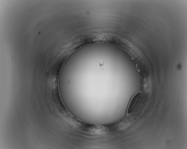 X0000090710514200707271134