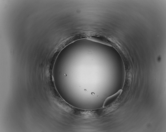 X0000090710516200707271134