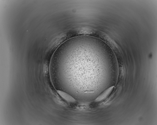 X0000090710517200707271134