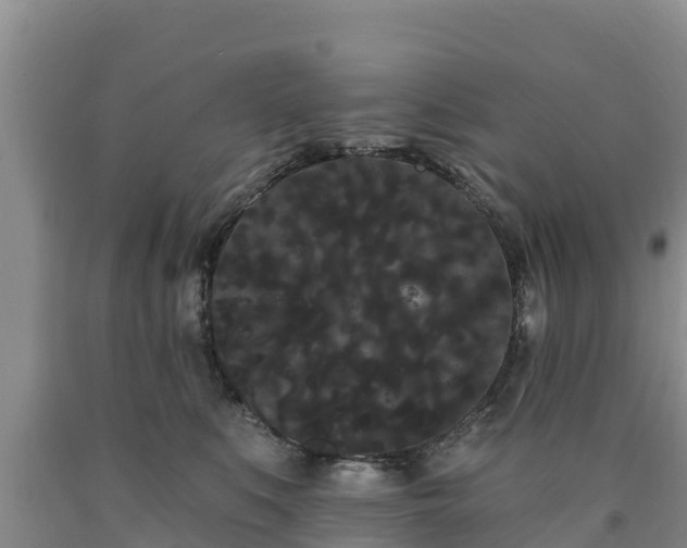 X0000090710519200707271134