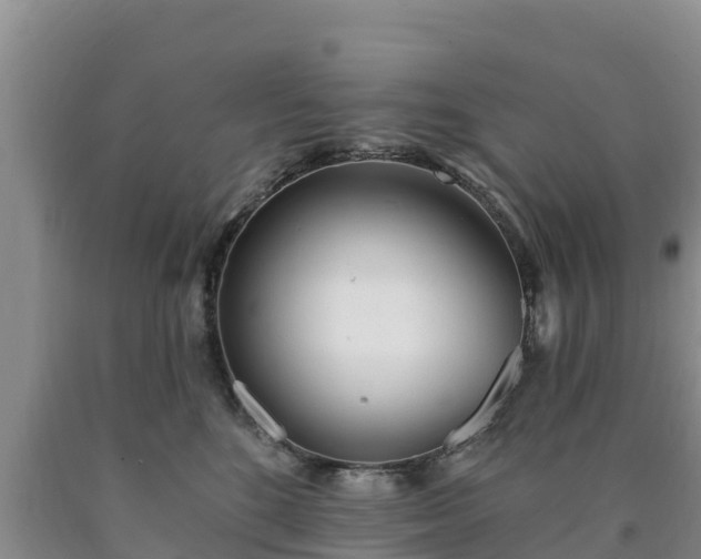 X0000090710520200707271134