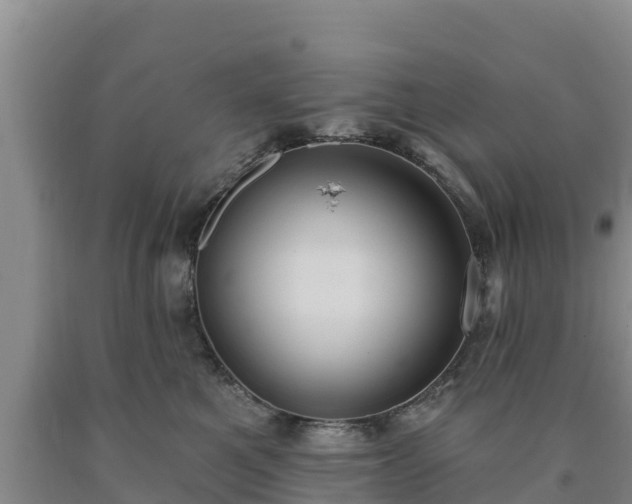 X0000090710521200707271134