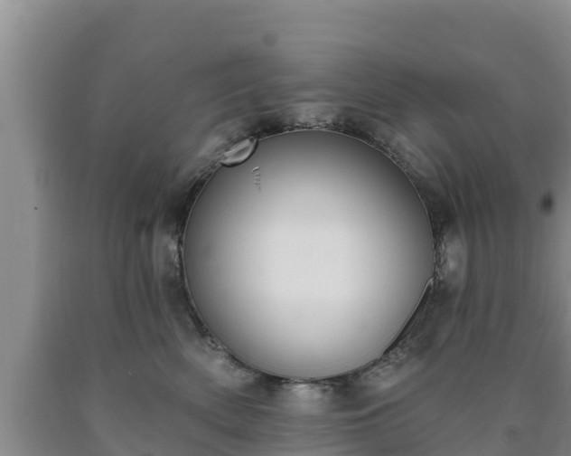 X0000090710522200707271134