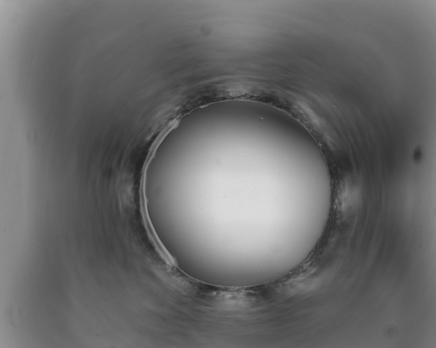 X0000090710524200707271134