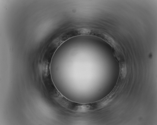 X0000090710525200707271134