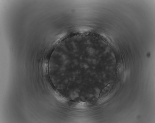 X0000090710527200707271133