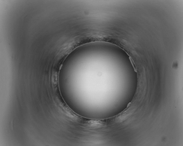 X0000090710528200707271133