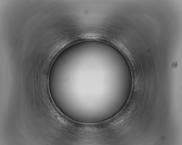 X0000090710529200707271133