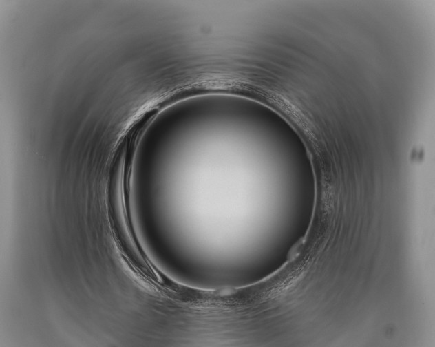 X0000090710530200707271133