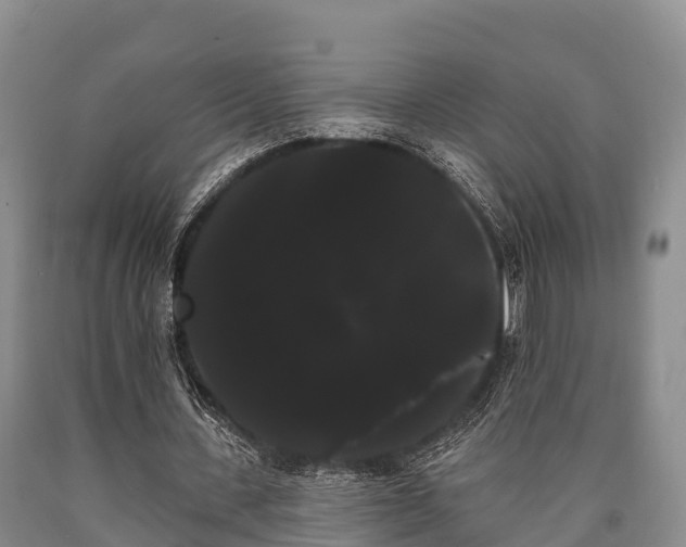 X0000090710531200707271133