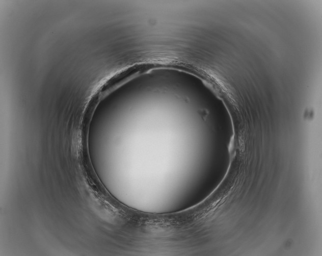 X0000090710532200707271133