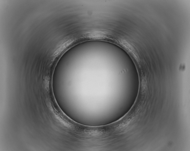 X0000090710533200707271133