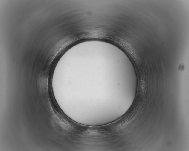 X0000090710534200707271133