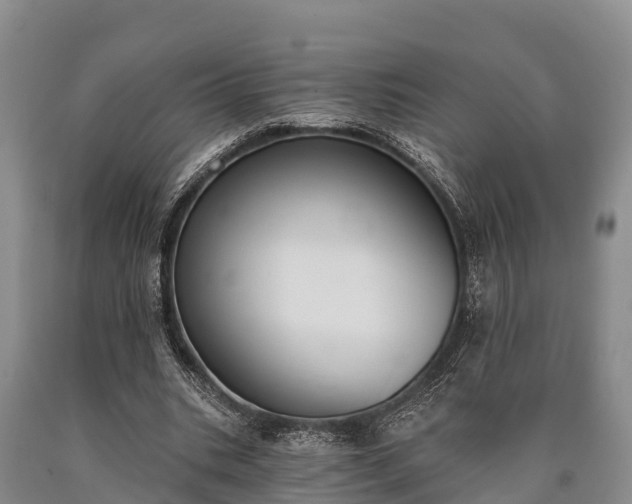 X0000090710535200707271133