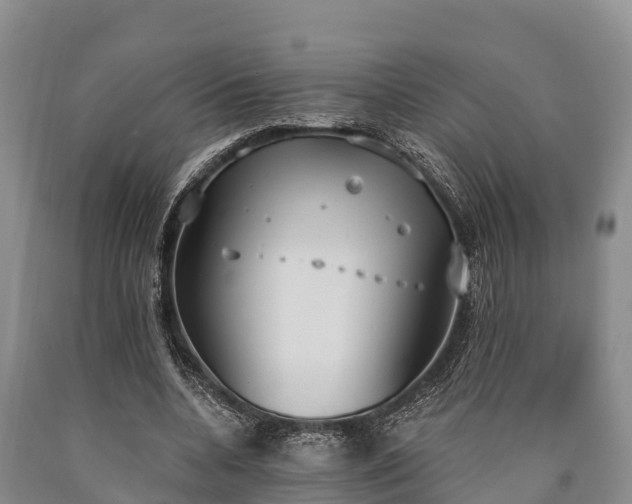 X0000090710536200707271133