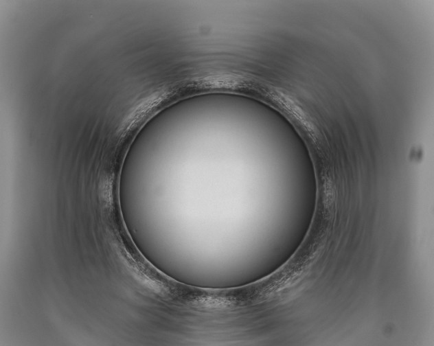 X0000090710537200707271133