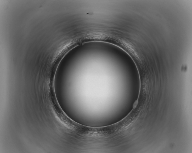 X0000090710538200707271133