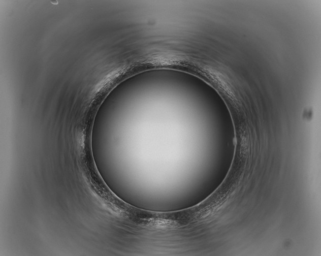 X0000090710539200707271133