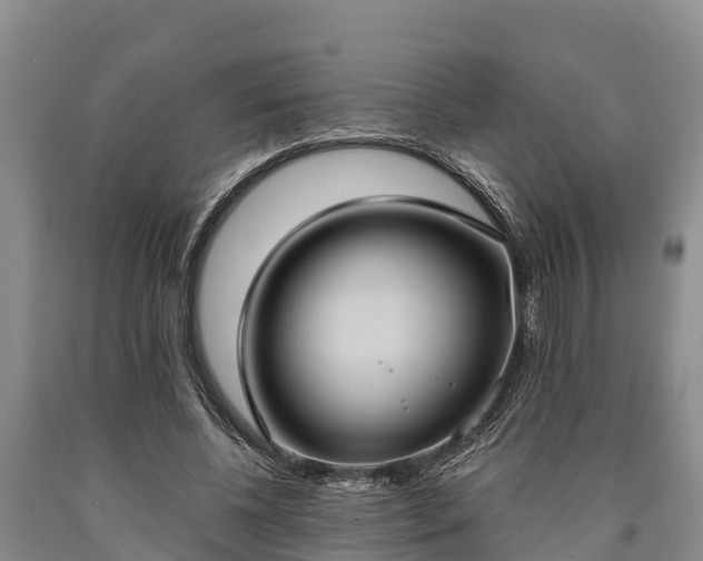 X0000090710540200707271133