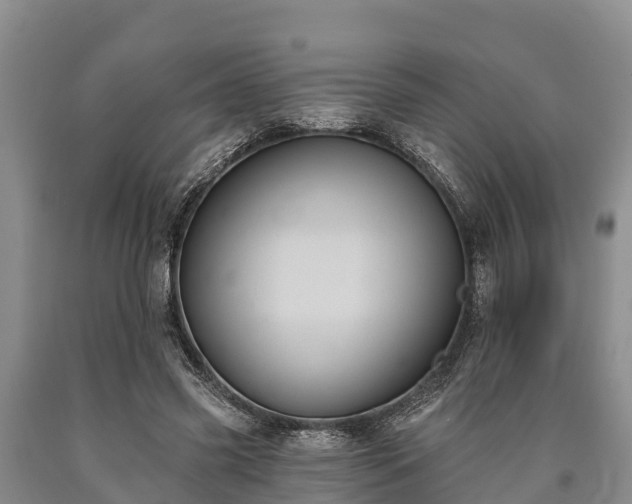 X0000090710541200707271133