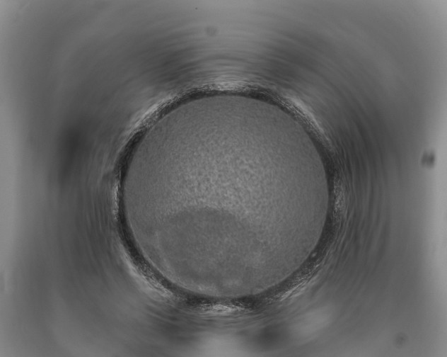 X0000090710542200707271133