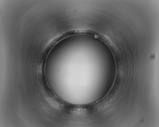 X0000090710543200707271133