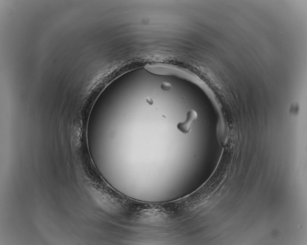 X0000090710544200707271133