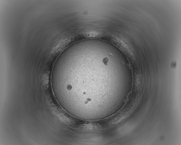 X0000090710545200707271133