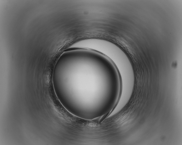 X0000090710546200707271133