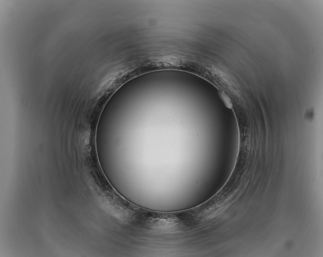 X0000090710548200707271133