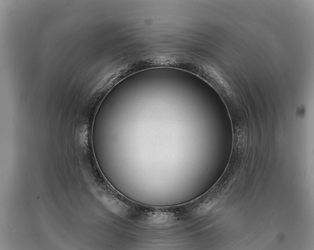 X0000090710549200707271133