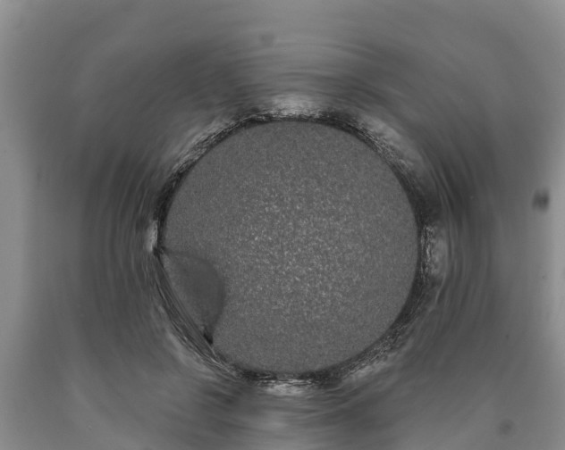 X0000090710550200707271133