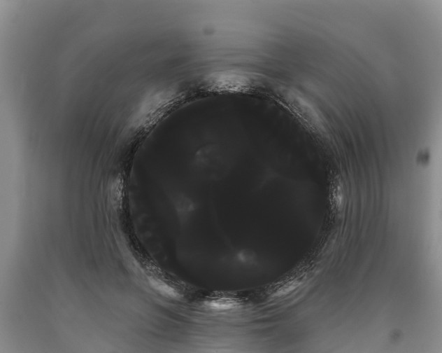 X0000090710551200707271133