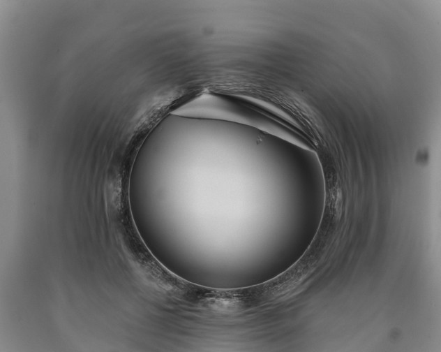 X0000090710552200707271133