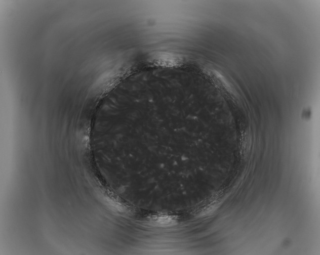 X0000090710553200707271133