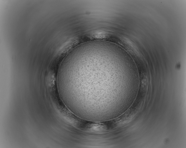 X0000090710555200707271133